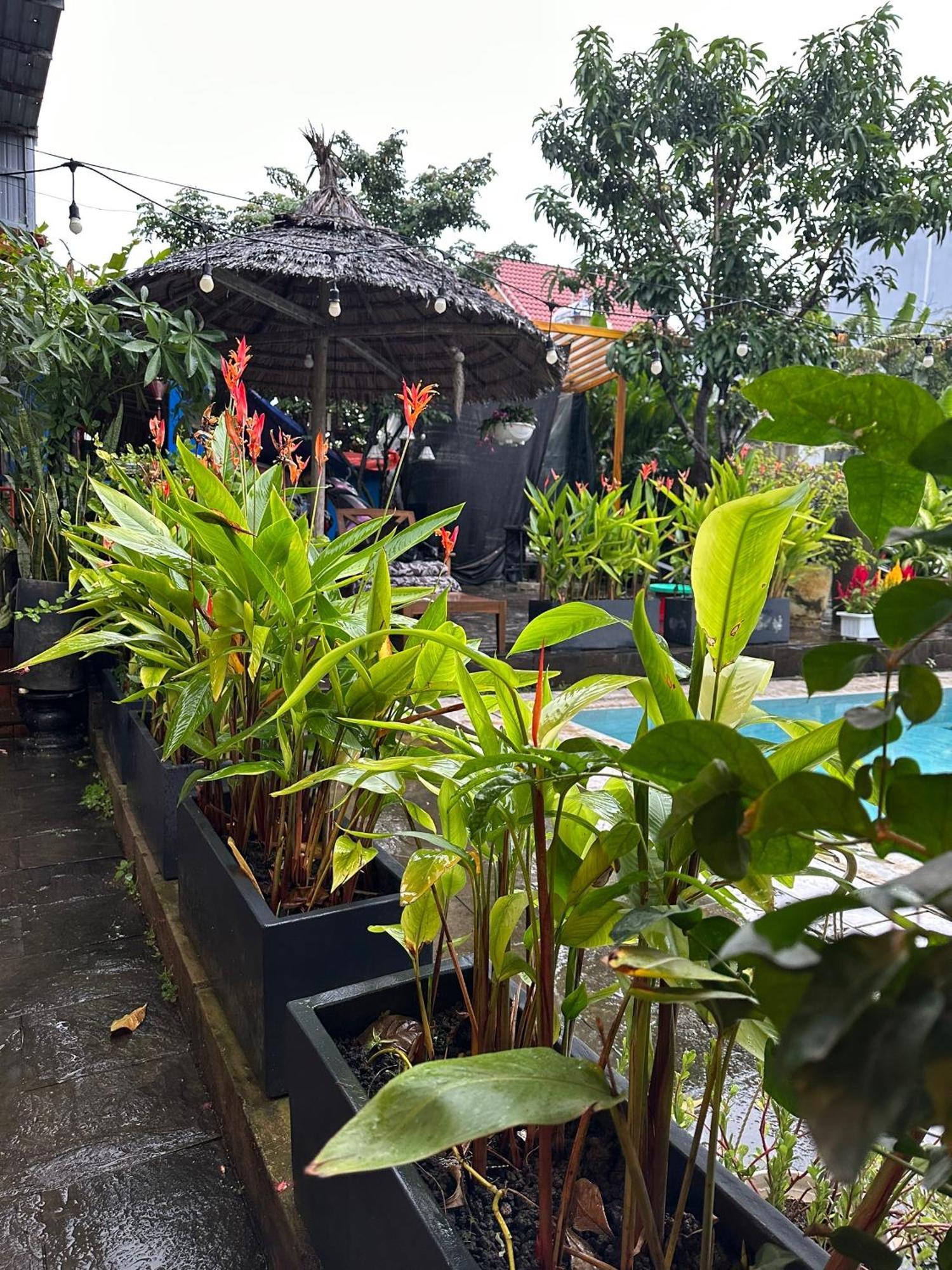 Water Palm Residence Hieu Nhon Buitenkant foto